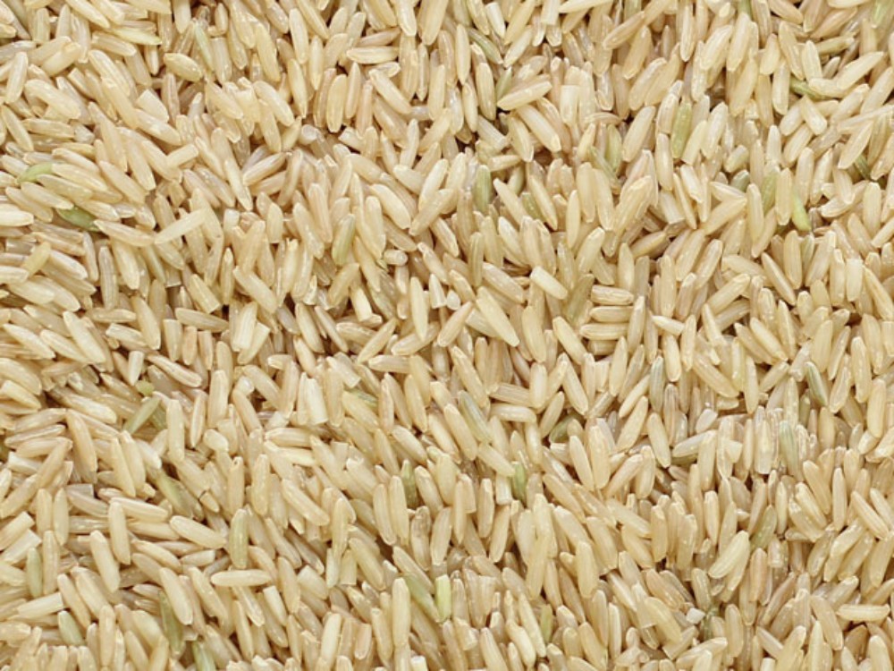 Organic Brown Basmati Rice - Bulkfood 2 Go